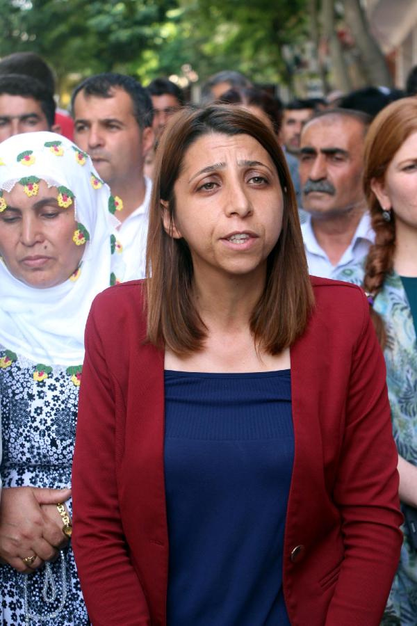 Şırnak'taki HDP 4 vekilliği de kazandı
