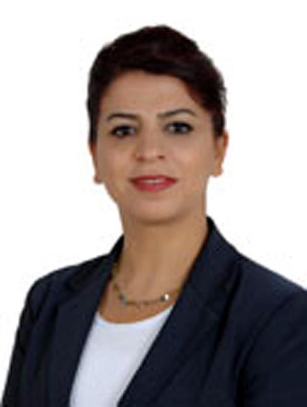 Diyarbakır'da HDP 9, AK Parti 2 milletvekilliğini kazandı