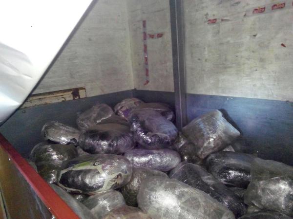 Kamyonunda 308 kilo esrar ele geçirildi, 'Seçim nedeniyle aranmaz sandım' dedi
