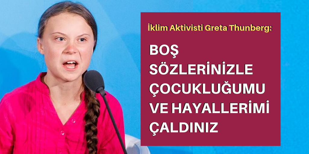 Thunberg'den liderlere sert eleştiri