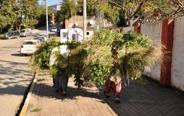 Hayvanlarının yiyeceği otu sırtlarında taşıdılar