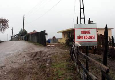 Lapseki'de bir köyde kuduz karantinası