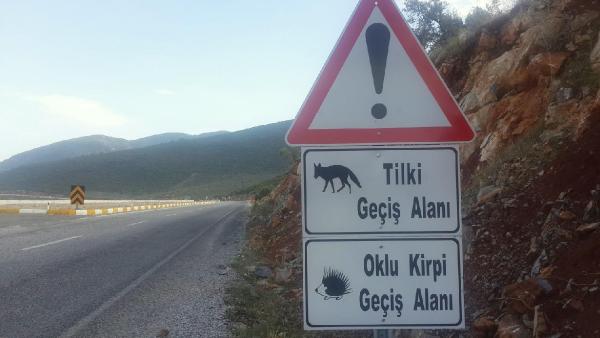 Yaban hayvanları için tabelalı uyarı