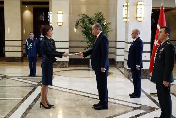 Erdoğan, Bulgaristan ve Panama Büyükelçisini kabul etti