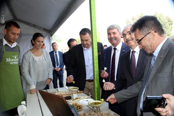Ayvalık'ta zeytin hasat günleri 'minnet' yürüyüşüyle başladı
