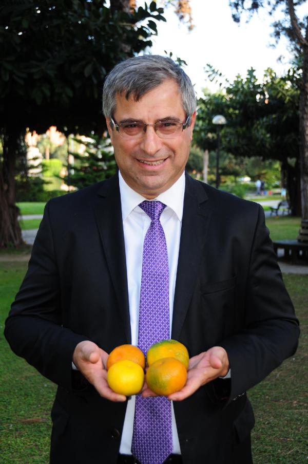 Üretici yeni cins mandalinayı sevdi