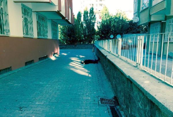 Kayseri'de 6 kattan düşünce öldü