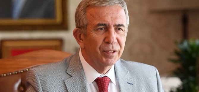 Tanesi 7 bin 500 avroya ağaç almışlar
