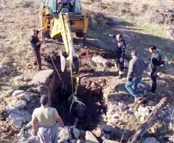 Çukura düşen inek iş makinesiyle kurtarıldı