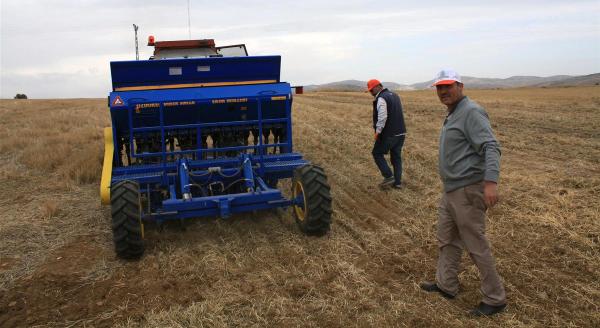 Kırmızı mercimek üretimi 10 yılda 85 bin ton geriledi