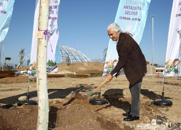 Ünlü şef diktiği çınar ağacını öptü, can suyu verdi