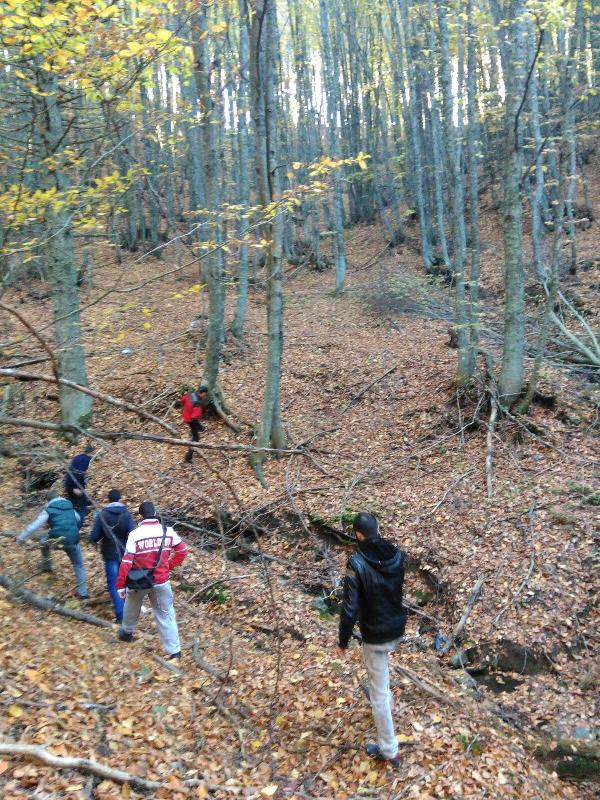 Uludağ’da kaybolan 5 genci jandarma buldu