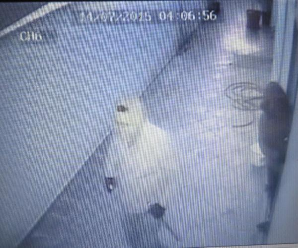 Konsolosluk aracını çalanlar yakalandı