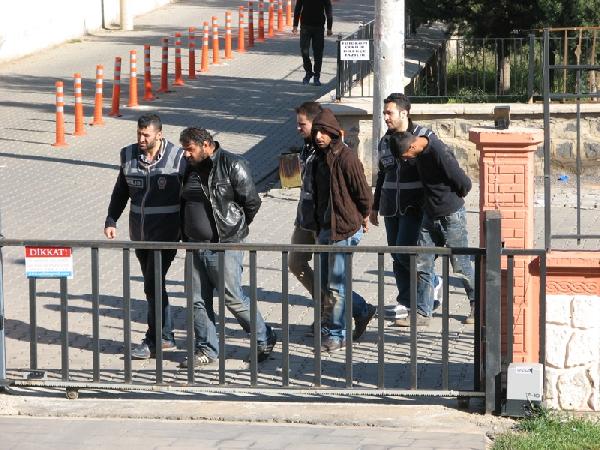 Mardin'den koyun çalan 4 şüpheli Şanlıurfa'da yakalandı