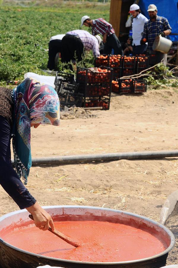 Talep fazlası domates salça oldu