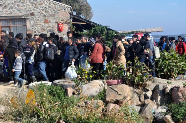 Ayvacık'ta 275 kaçak yakalandı