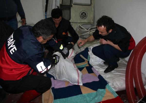 Otomobilin tampon bölümünde sıkışan çakal kurtarıldı