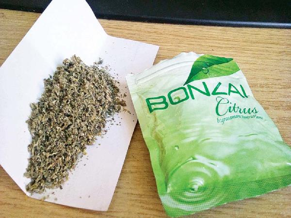 Oryantale 17 yaşındaki gence bonzai satmaktan 18 yıl 9 ay hapis