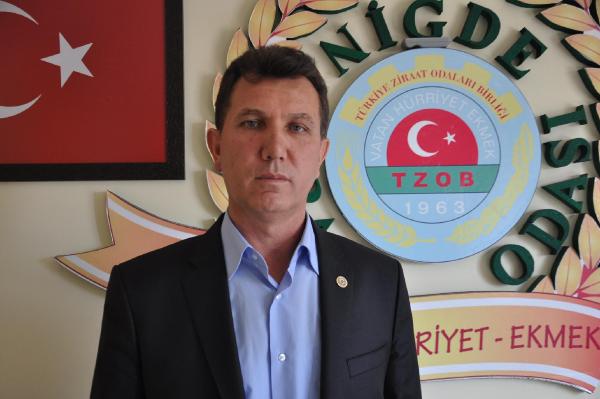 Geçen yıl fiyat rekoru kıran patates ucuzladı