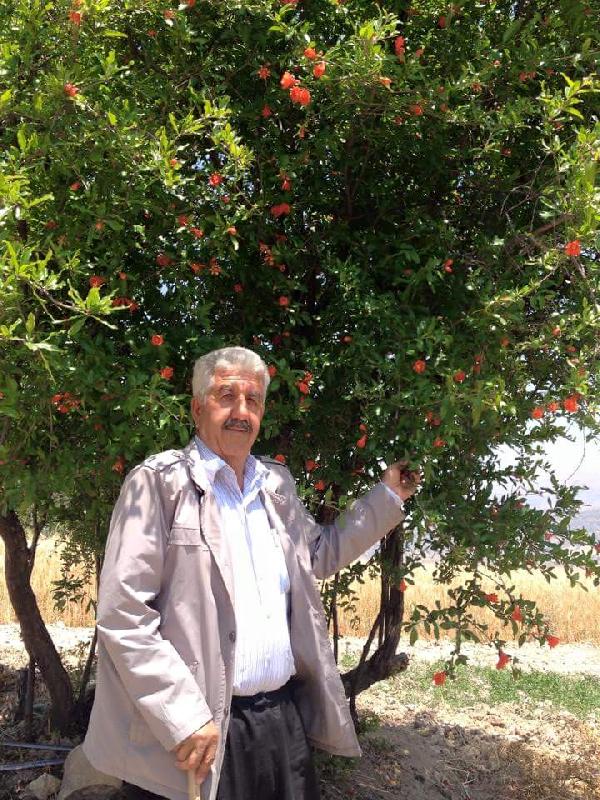 Traktör altında kalan çifti hayatını kaybetti
