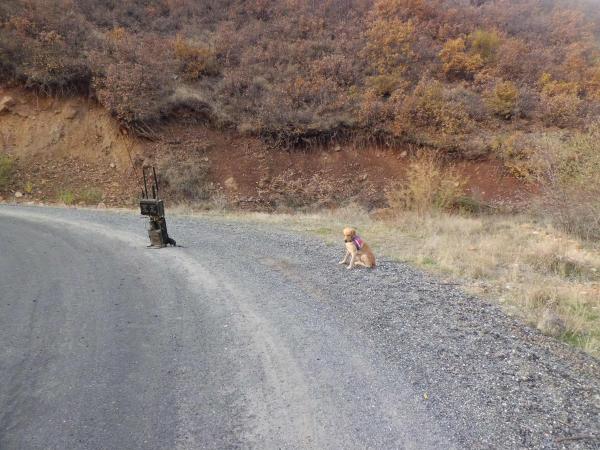 Bingöl'de PKK'lı teröristlerin bombalı tuzağı imha edildi