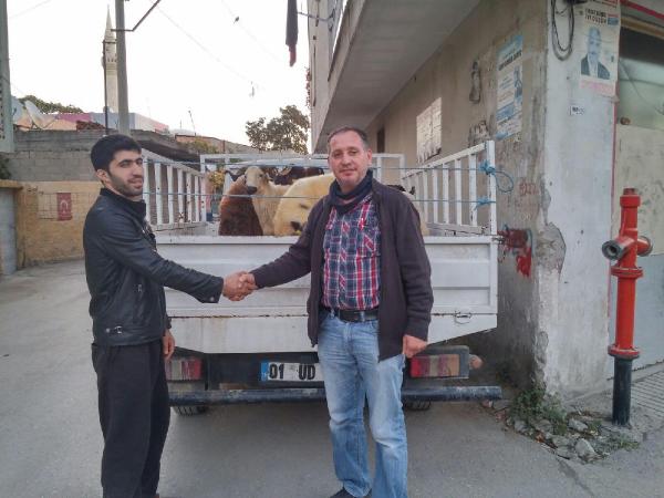 Çaldığı koyunları  kesip satıyormuş