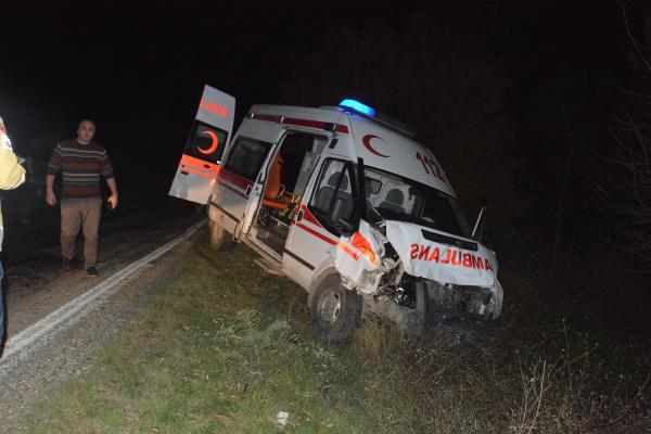 Hasta taşıyan ambulans büyükbaş hayvana çarptı