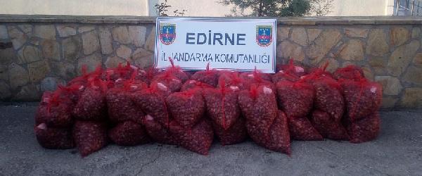 Edirne’de kaçak avlanan 1.4 ton midye ele geçirildi