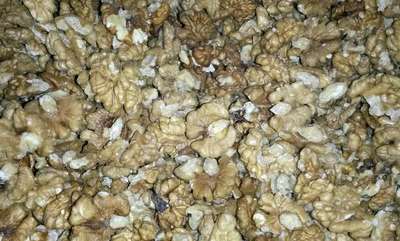 Prof. Dr. Karadeniz: Şiddet ve strese karşı ceviz tüketin