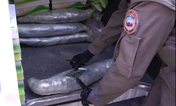 Çekici üstündeki minibüsten 48 kilo 540 gram esrar çıktı
