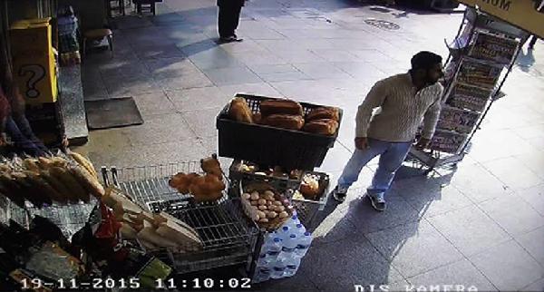 Beykoz'da domuz paniği