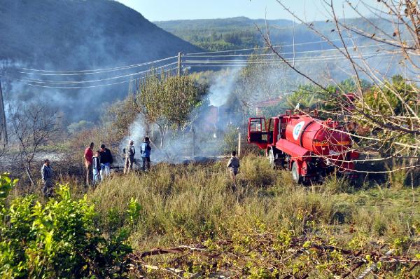 Tuğba Özay'ın çiftliği yanmaktan son kurtuldu