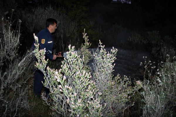 İşaret fişeği atılan ormanlık alanda yangın çıktı