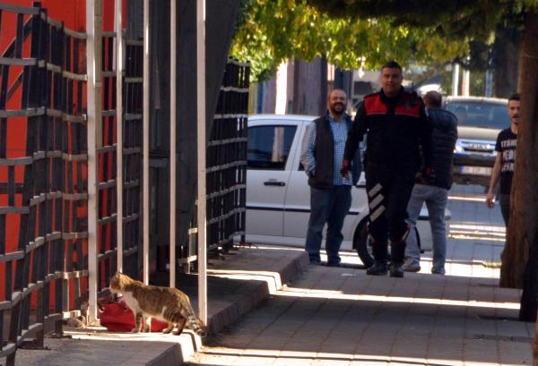 Bomba uzmanından önce kedi kontrol etti