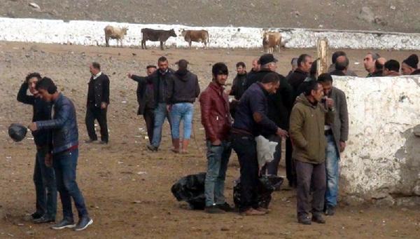 Kars’ta 'şap' görüldü 15 gün hayvan satışları durduruldu