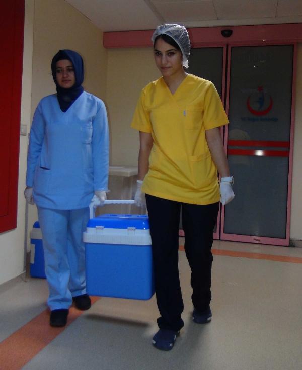 Beyin ölümü gerçekleşen hastanın organları 3 kişiye umut oldu