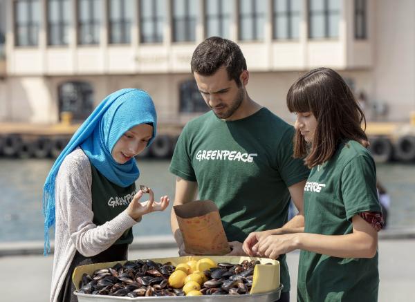 'Midye dolmaların yüzde 91’inde plastik var'
