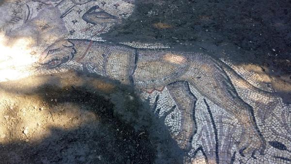 Portakal bahçesinde Roma dönemi kilise bulundu