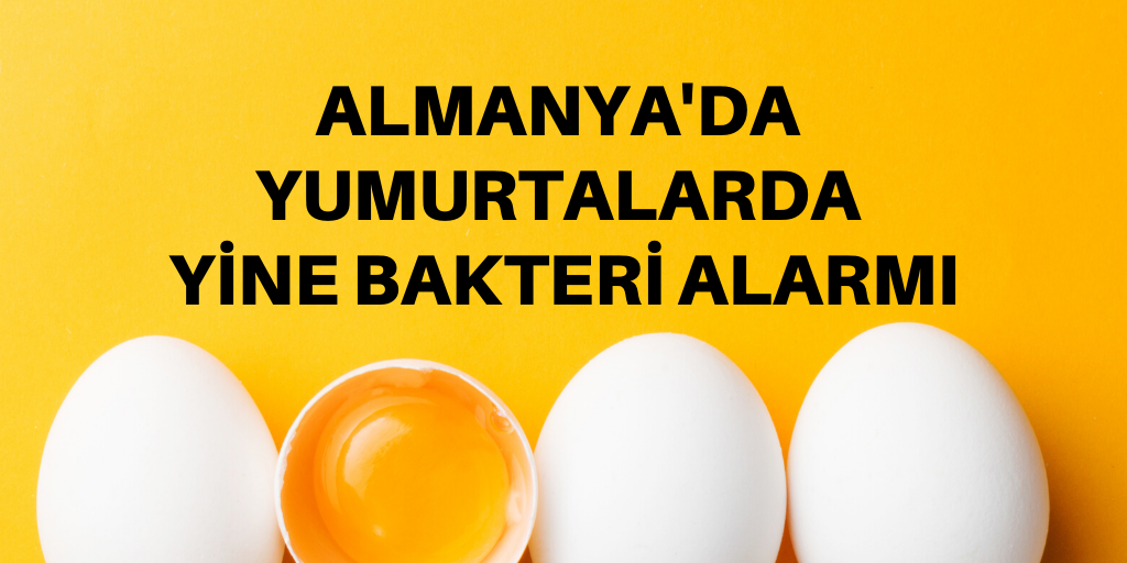 Yumurtalarda bakteri alarmı