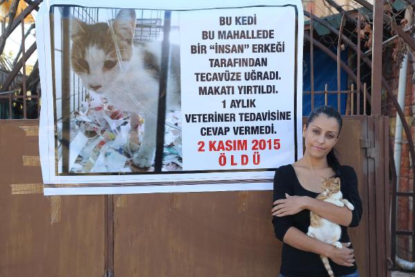 Kedisinin 'tecavüz' sonucu telef olmasını afişle protesto etti