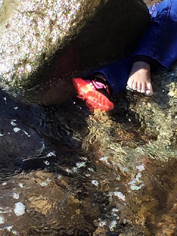 Minik sığınmacı Sena'nın sonu da Aylan gibi oldu