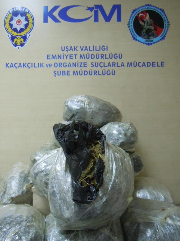 Otomobil bagajından 50 kilo esrar çıktı, 1 kişi gözaltında