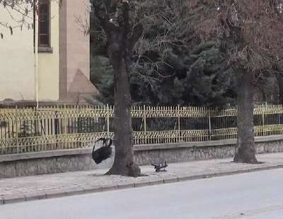 Caddeye bırakılan sırt çantası, 'bomba' paniğine neden oldu