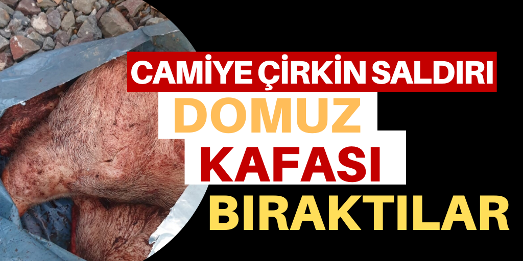 Camiye domuz kafası bırakıldı
