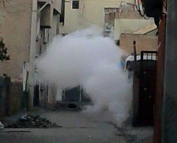 Nusaybin'de sokağa çıkma yasağını protesto eden gruba gazlı müdahale