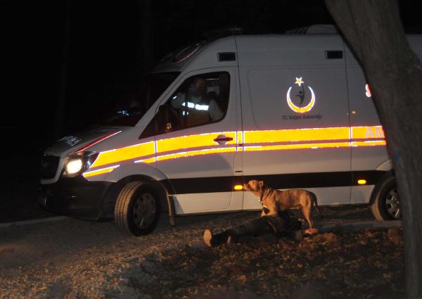 Pitbull cinsi köpek, baygınlık geçiren sahibinin yanına kimseyi yaklaştırmadı