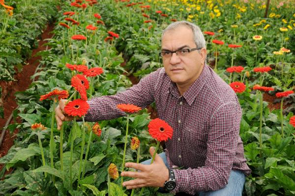 Rusya'ya giden çiçek TIR'ları geri dönüyor