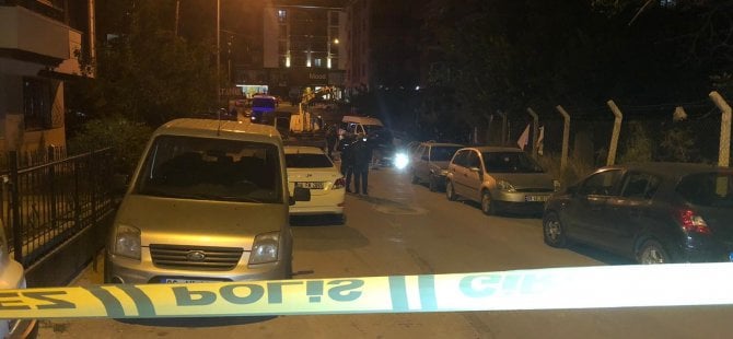 Gurbetçi, arabasıyla kalabalığa daldı: 1 ölü, 1 yaralı