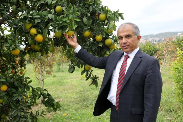 Narenciyede 'Rus krizi' kaygısı