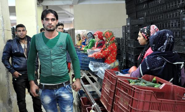 Rusya'ya giden çiçek TIR'ları geri dönüyor (3)